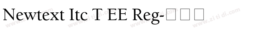 Newtext Itc T EE Reg字体转换 Newtext Itc T EE Reg字体转换